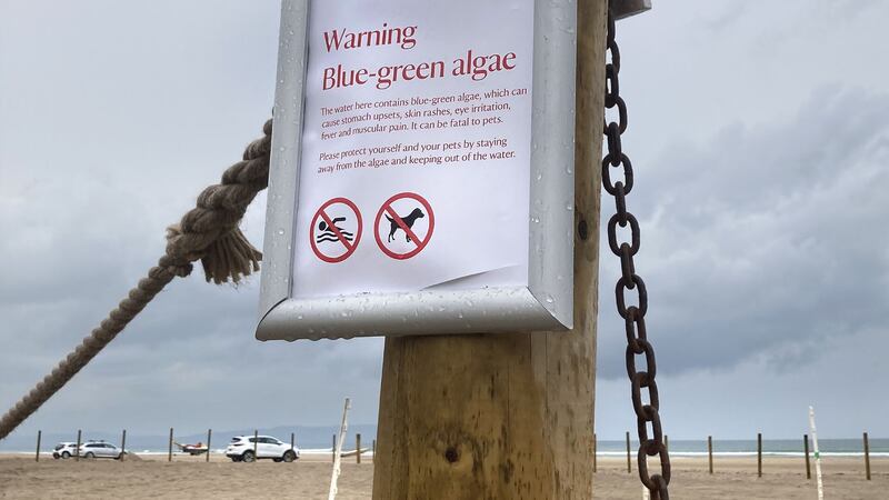 A National Trust warning erected at Portstewart Strand after suspected blue-green algae was confirmed in nearby Castlerock. Picture by Margaret McLaughlin