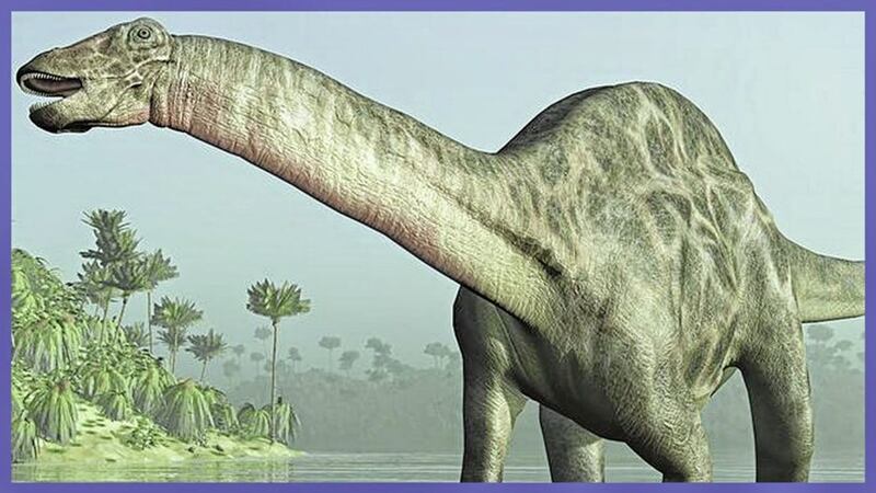 Have you ever tried to insure a life-sized fibreglass brontosaurus? 