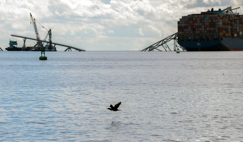 Officials have said that they plan to rebuild the bridge by autumn 2028 (Kaitlin Newman/The Baltimore Banner via AP)