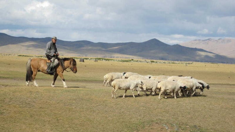 Agriculture in the form of animal husbandry, along with the mining sector, are the two most important areas of the Mongolian economy 