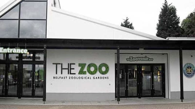 Belfast Zoo will reopen to visitors on Friday after a relaxation of lockdown restrictions 
