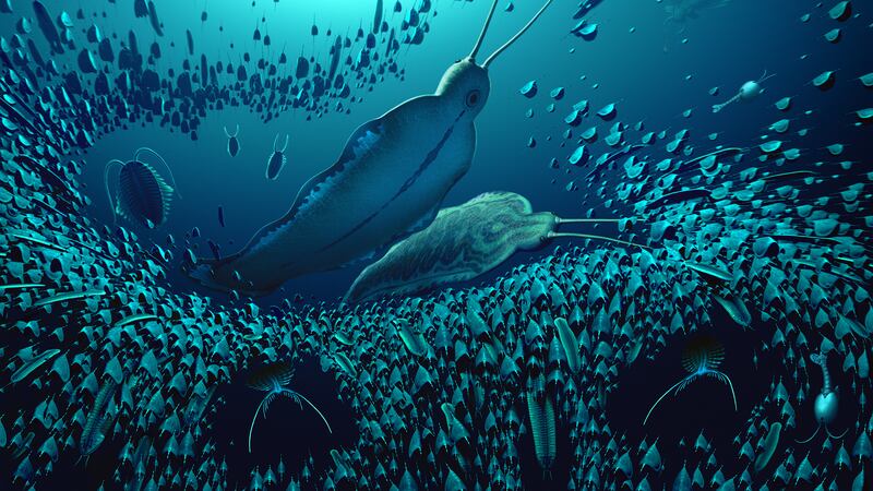An artist’s impression of what Timorebestia may have looked like in the oceans more than 518 million years ago (Bob Nicholls/University of Bristol)