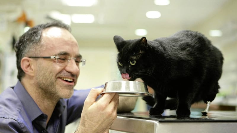 Noel Fitzpatrick made history in 2009 by giving Oscar the cat a double amputation prosthesis  