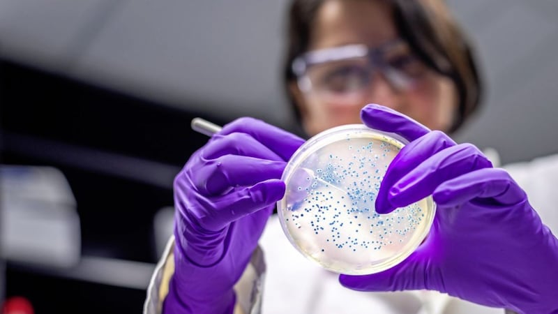 The World Health Organisation has warned that none of the 43 antibiotics now being developed can beat the world&#39;s 13 most lethal bacteria - leading scientists to work on powerful non-antibiotic alternatives 