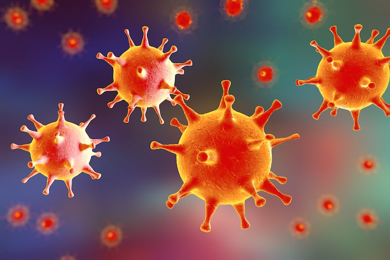 The human herpes simplex virus (Dr_Microbe/Getty Images)