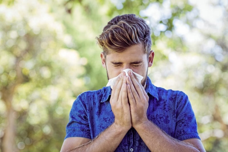 Though some people suffer all year. hay fever is typically triggered in the spring and summer 