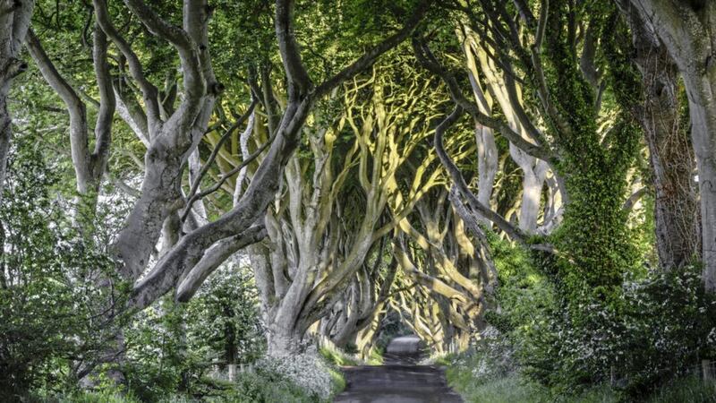 The Dark Hedges in Co Antrim featured in the second series of hit TV show Game of Thrones 