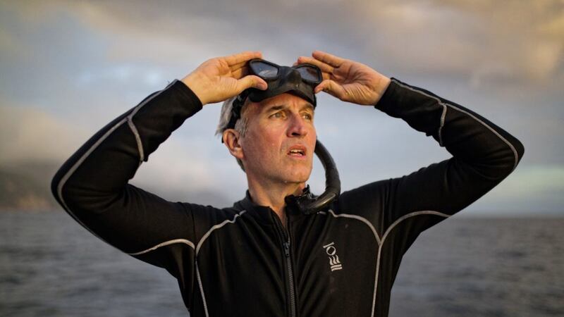 Secrets of The Whales: National Geographic photographer Brian Skerry 