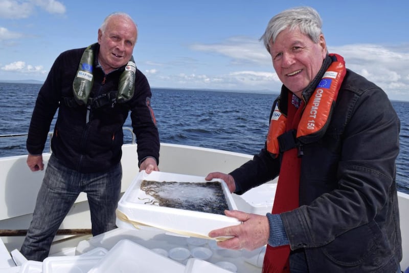 Broadcaster Joe Mahon, right, with Frankie Conlan of the Lough Neagh Eel Fishermen&#39;s Cooperative release glass eels into the waters of the lough to replenish the stocks 