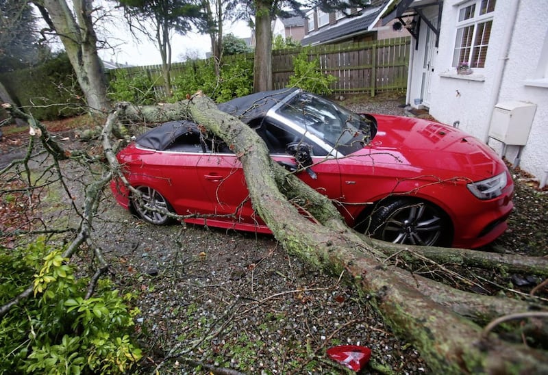 A tree landed on the car outside Simon Irwin&#39;s home in south Belfast. Picture by Mal McCann 