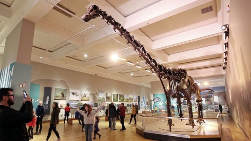 Dippy the dinosaur has had more than 100,000 visitors since he arrived at the Ulster Museum in Belfast 
