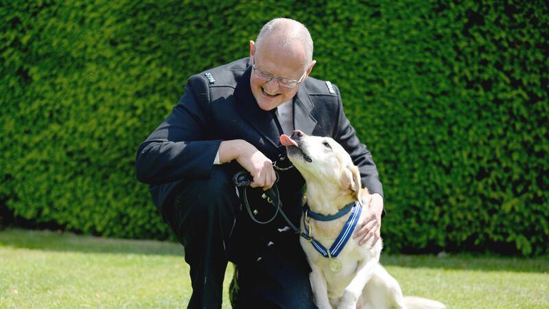 The PDSA Order of Merit was presented to the dogs and their handlers.