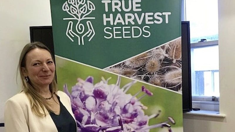 Debbie Gillies of True Harvest Seeds 