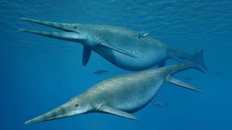 The ancient reptiles looked a lot like dolphins, and may have been warm-blooded and insulated by blubber.