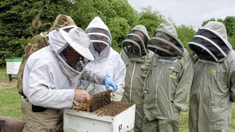 Ulster Beekeepers are among the groups taking part in the all-Ireland bee action event at Oxford Island 