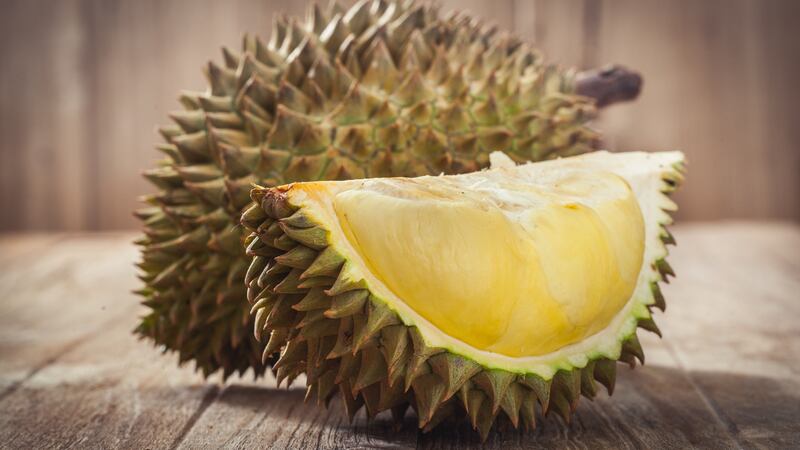 The library re-opened after a ‘completely safe’ durian fruit was found in one of the bins.