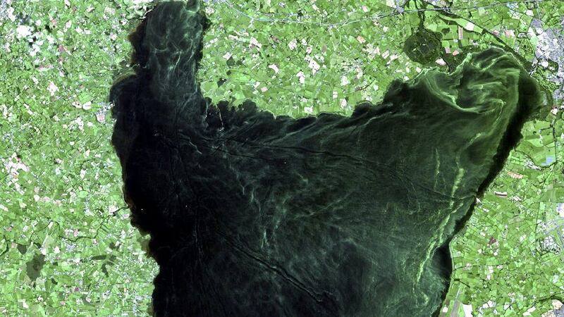 Satellite imagery shows the level of algae bloom in Lough Neagh. Picture by Copernicus Open Access Hub 