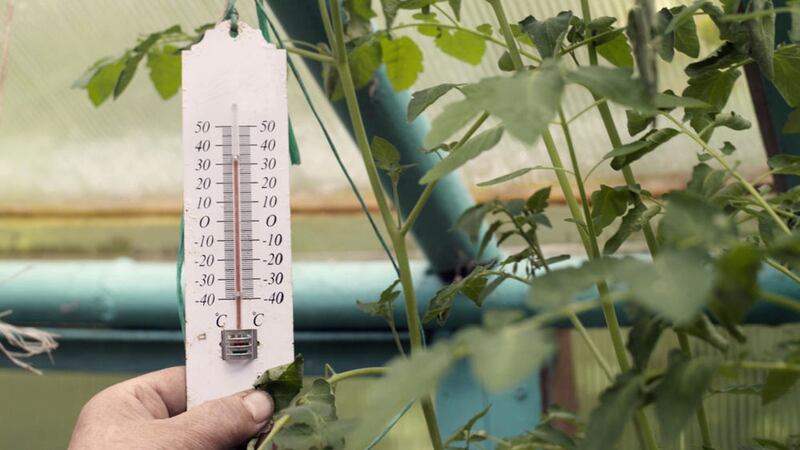 Check your greenhouse thermometer regularly as the weather gets colder 
