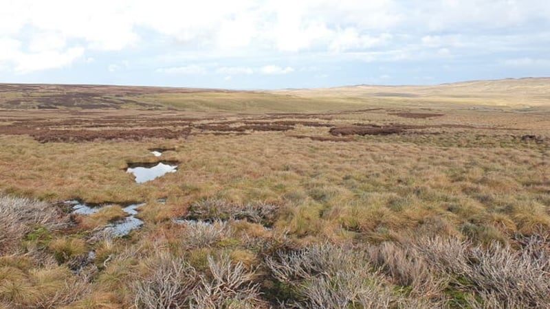 The law is a key element of the EU Biodiversity Strategy (West Arkengarthdale Moor/PA)