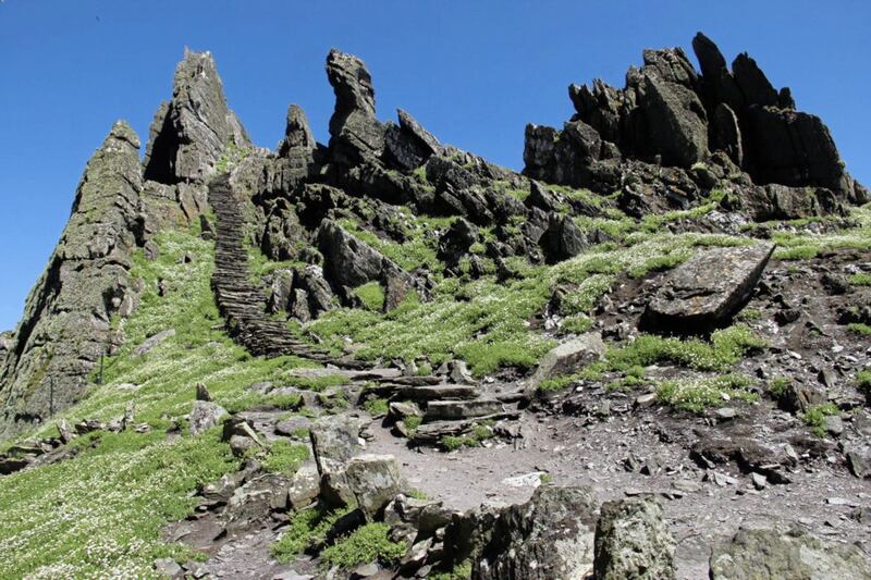 Not for the faint hearted – the steps leading to the monastery on Skellig Michael