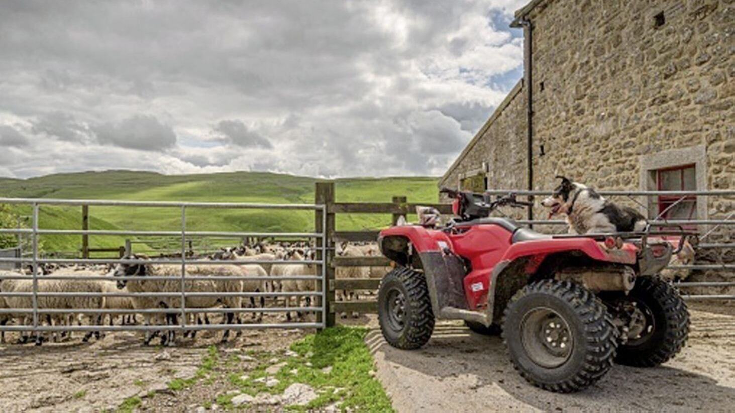 The latest figures from insurer NFU Mutual show that rural crime has increased in cost by 5.3 per cent on 2016, with quad bikes and ATVs (all terrain vehicles), livestock and tractors top of thieves&rsquo; wish-lists. 