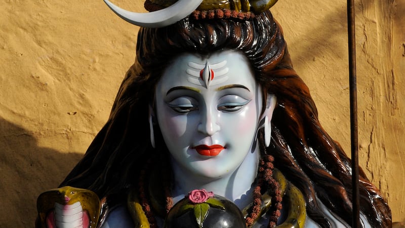 The snake has been named in reference to the snake found around the god Shiva’s neck