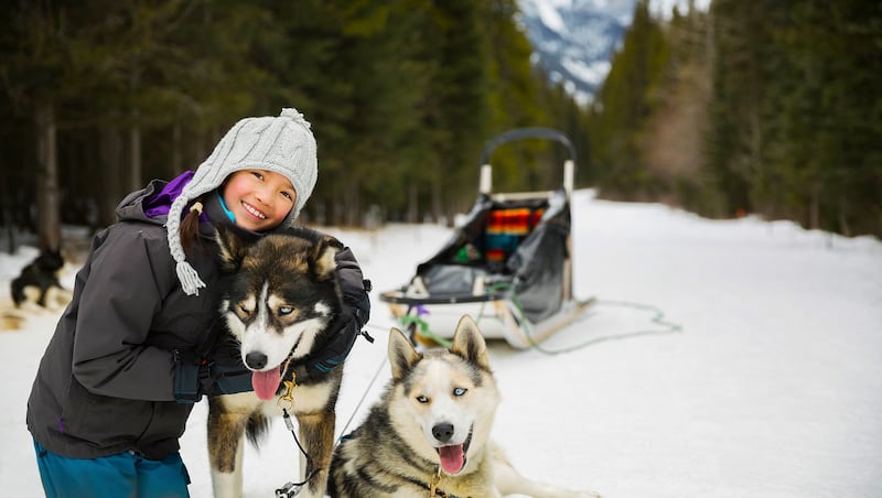 Hug a husky in Lapland (Getty/Newmarket/PA)