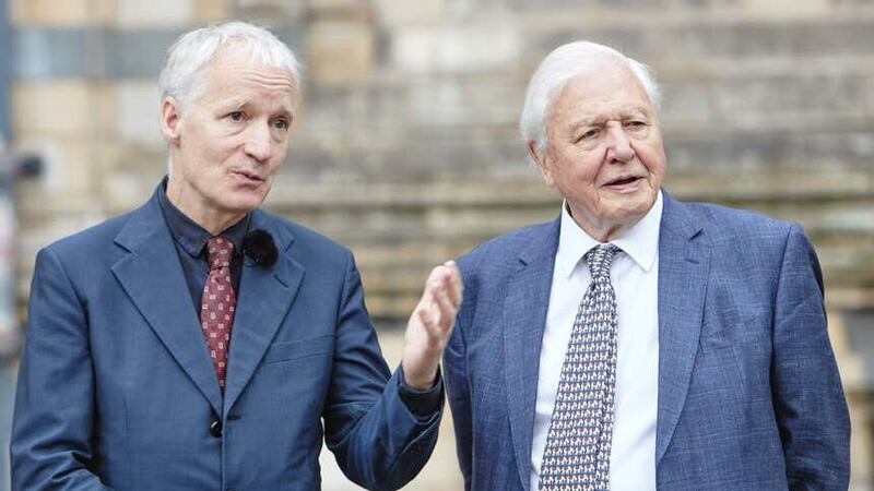 Sir David Attenborough has visited the Natural History Museum in London. (Trustees of the Natural History Museum, London/ Aimee McArdle)