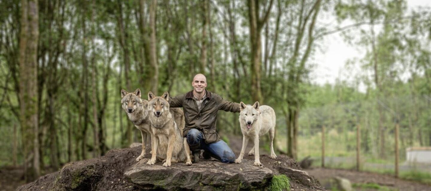 Northern Ireland young people wary of reintroduction of wolves and lynx ...