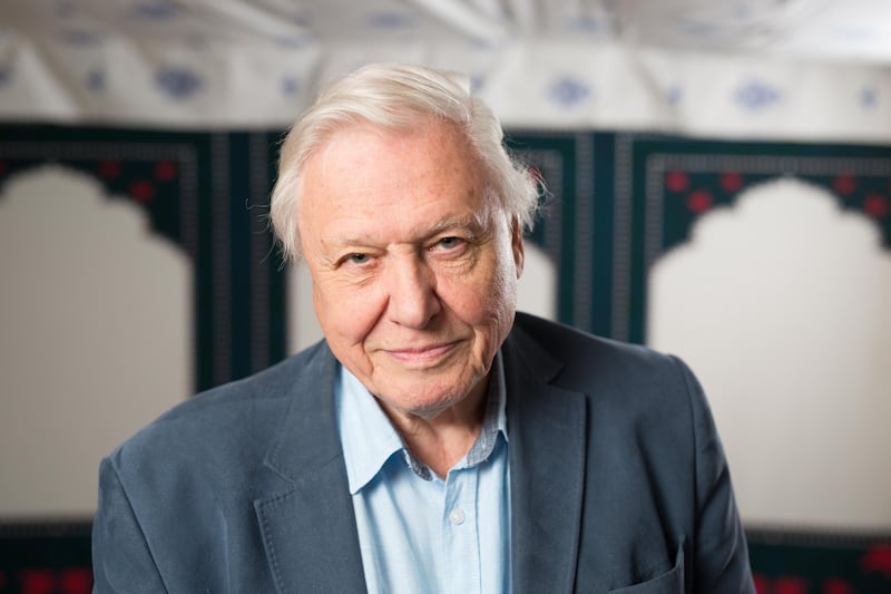 Sir David Attenborough: Global concern for natural world is sign of hope