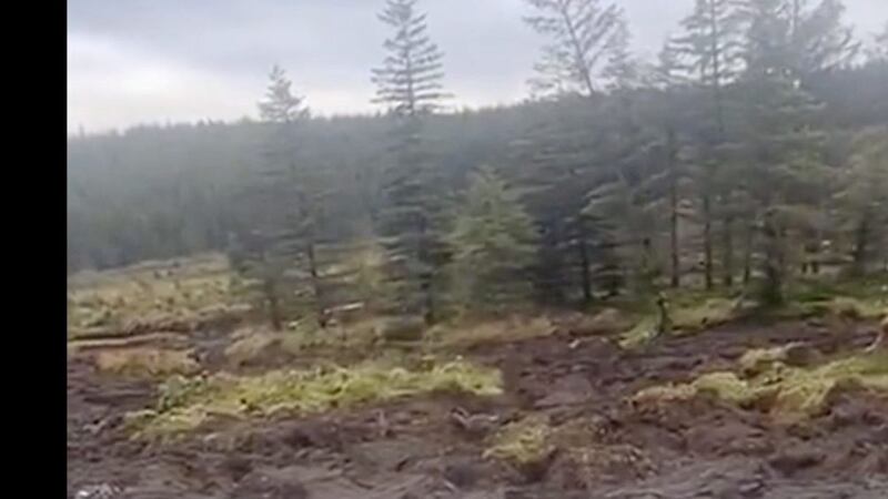 Dramatic footage of trees being swept away was shared widely on social media. 