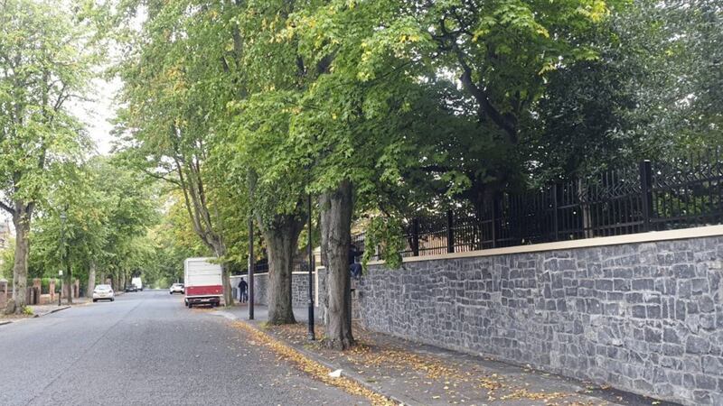Mature trees along Adelaide Park in south Belfast beside the Chinese Consulate&#39;s new wall 