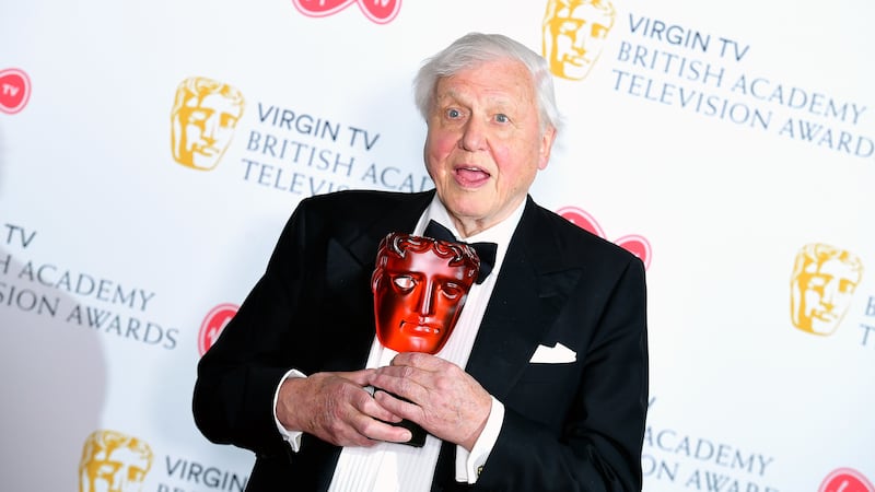 The TV presenter also gave a powerful speech as a scene from Blue Planet II picked up a gong at the Baftas.