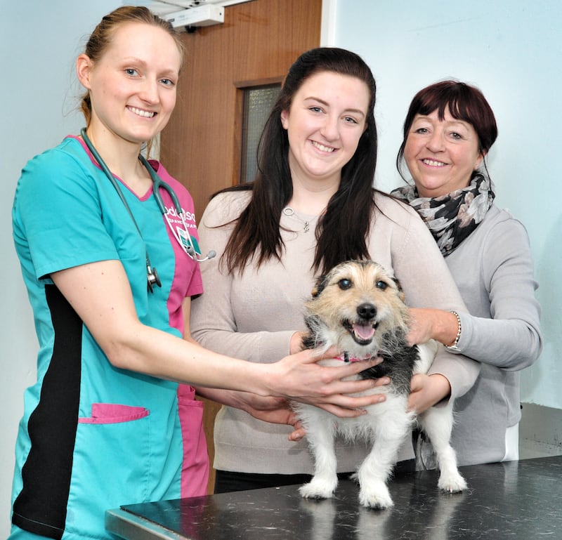 Oscar with his owner and a PDSA vet