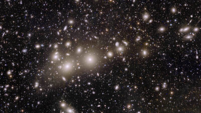 Euclid’s view of the Perseus cluster of galaxies ()