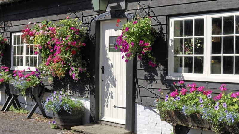 Hanging baskets are making a comeback 