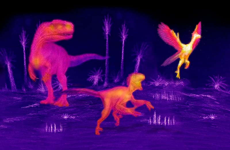 Dinosaurs evolved higher metabolism as they decreased in size to give rise to warm-blooded birds.