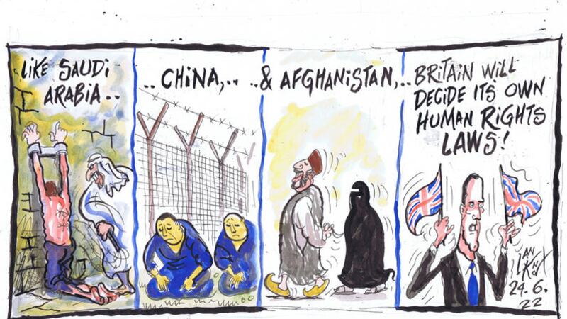 Ian Knox cartoon 24/6/22&nbsp;