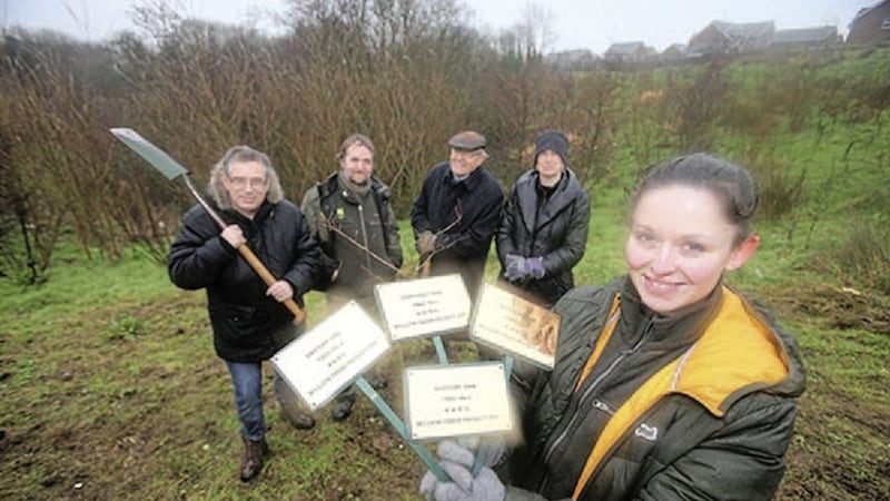 Orla Dowds Roddy from the National Trust helps Gerard Daye, Peter Diehl and Mary Carberry from the Belfast Metropolitan Residents Group plant some oak trees. Picture by Mal McCann 