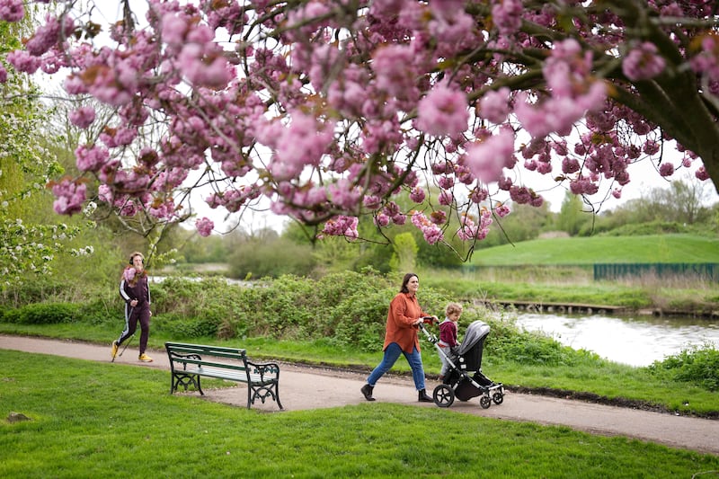 People walk by flowering cherry blossom trees in St Nicholas’ Park, Warwick