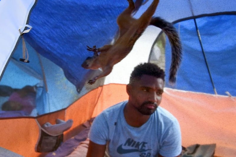 Niko, a pet squirrel, and his owner, Yeison, in their tent at a migrant camp in Matamoros, Mexico