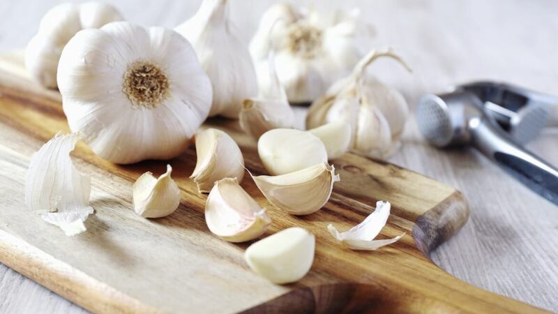 Garlic can help protect against illness 