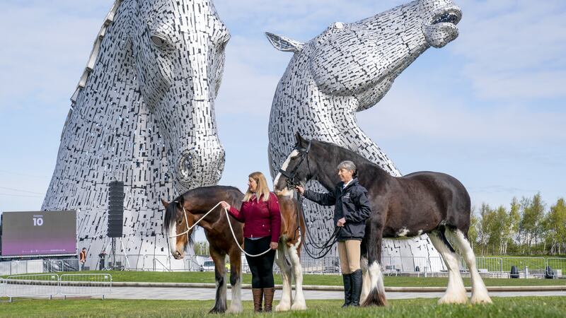 Clydesdale horses took part in the celebrations on Saturday