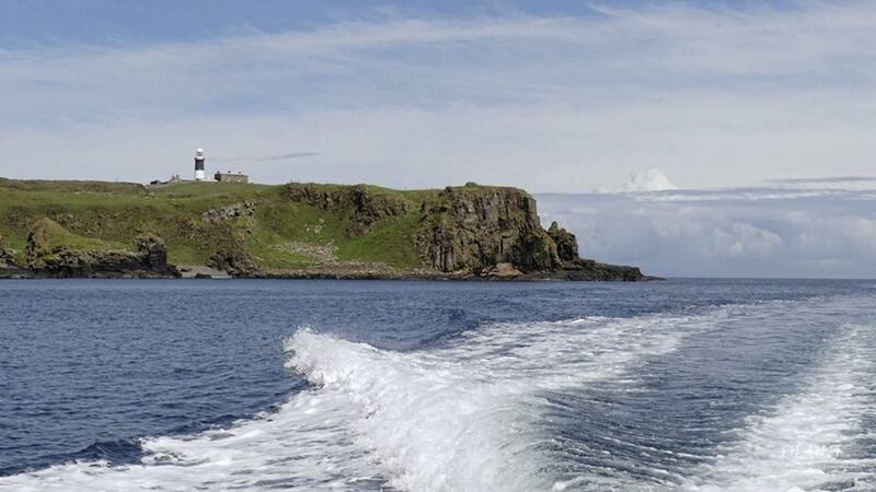 Join an RSPB NI Rathlin warden for a tour of Rathlin Island from the water 