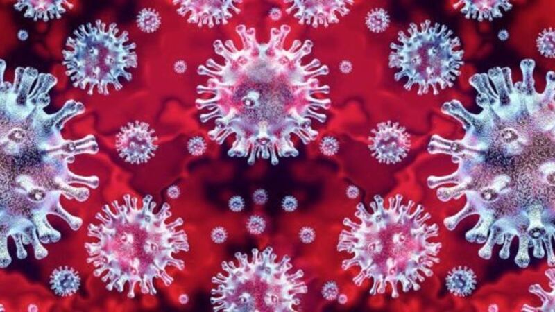 Twelve people have tested positive for coronavirus  