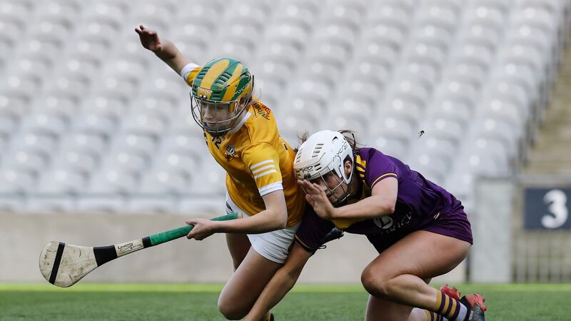 Antrim and Wexford renew their rivalry from last year's DivisionTwo final