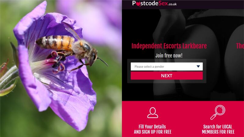 The original domain name for the Bees’ Needs campaign is now used by an adult website.