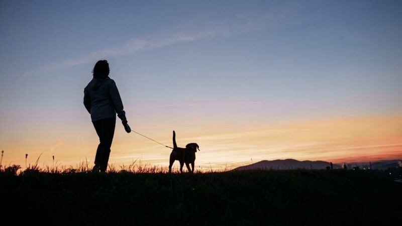 Dog ownership is associated with a lower risk of premature death 