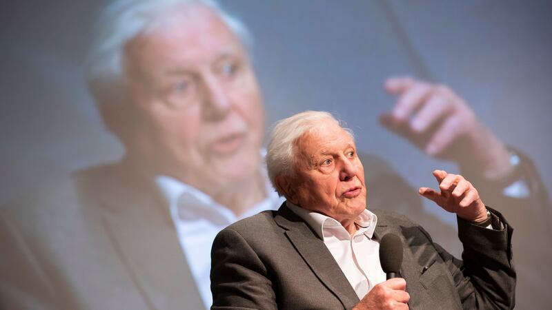 An augmented reality app to support Sir David’s forthcoming BBC series The Green Planet is among host of ideas backed by the Government’s 5G fund.