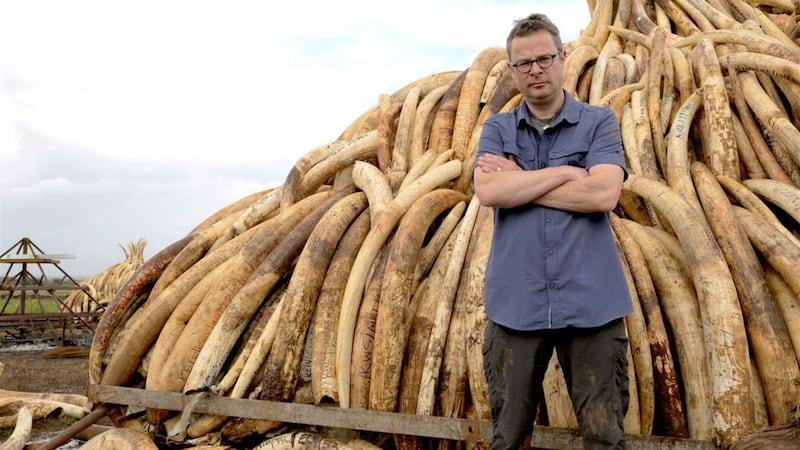 Hugh Fearnley-Whittingstall at a burn of seized ivory in Kenya  